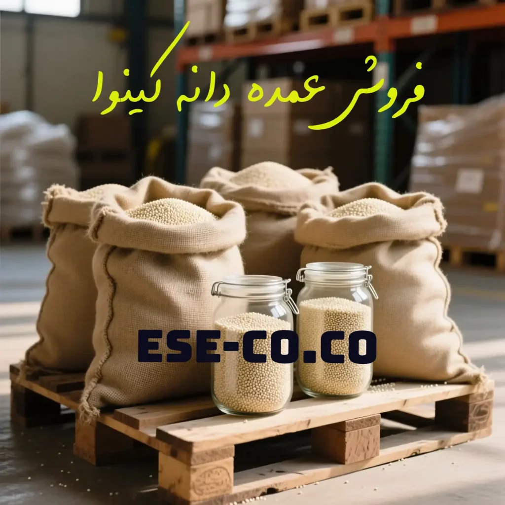 خرید عمده کینوا سفید