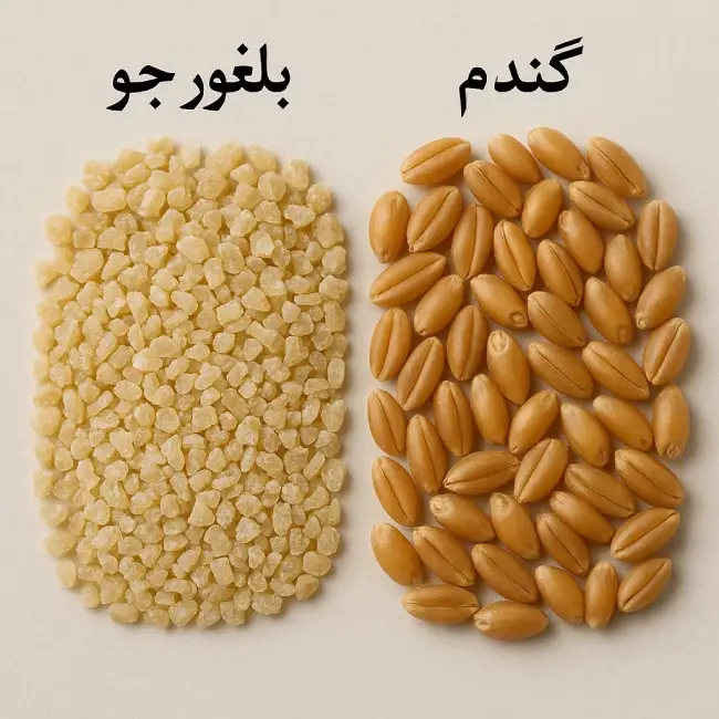 فرق بلغور جو با گندم