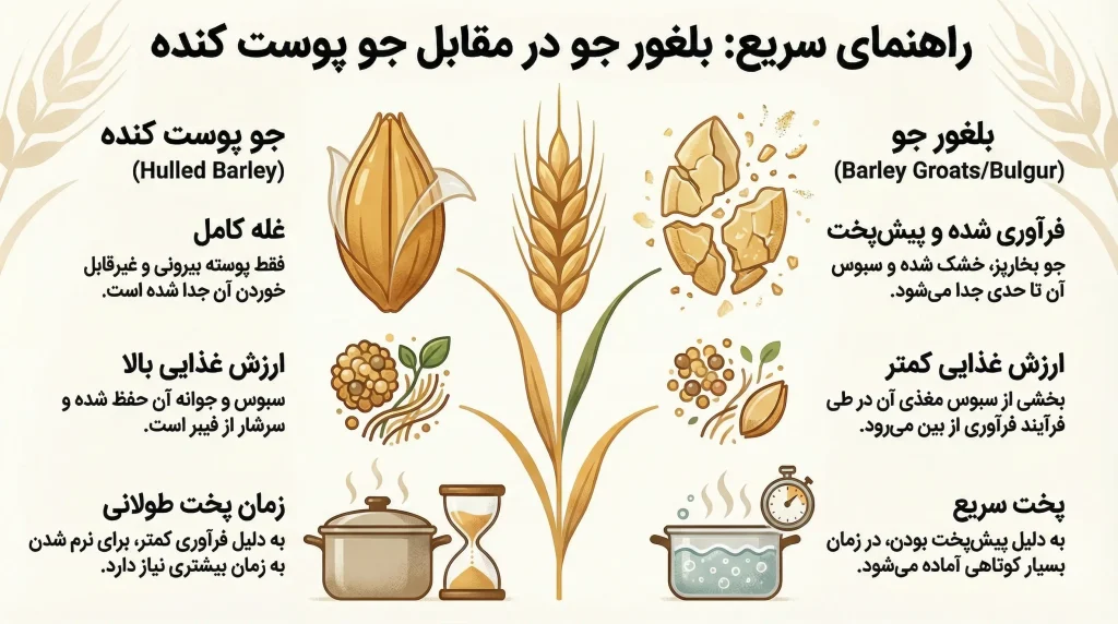بلغور جو چیست و چه کاربردی دارد؟ – اسپادانا سورن اروین
