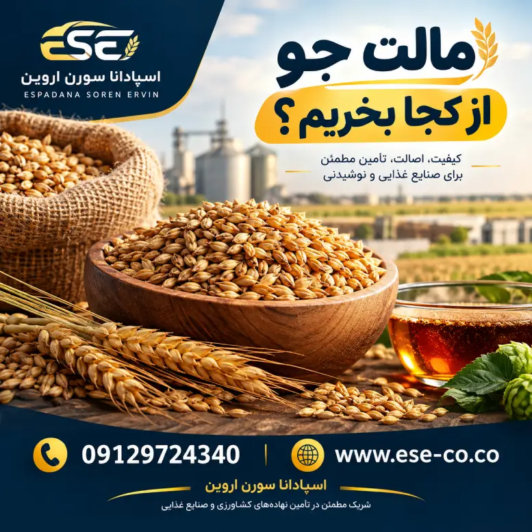 مالت جو از کجا بخریم