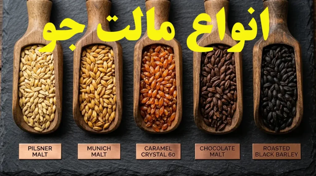 انواع مالت جو