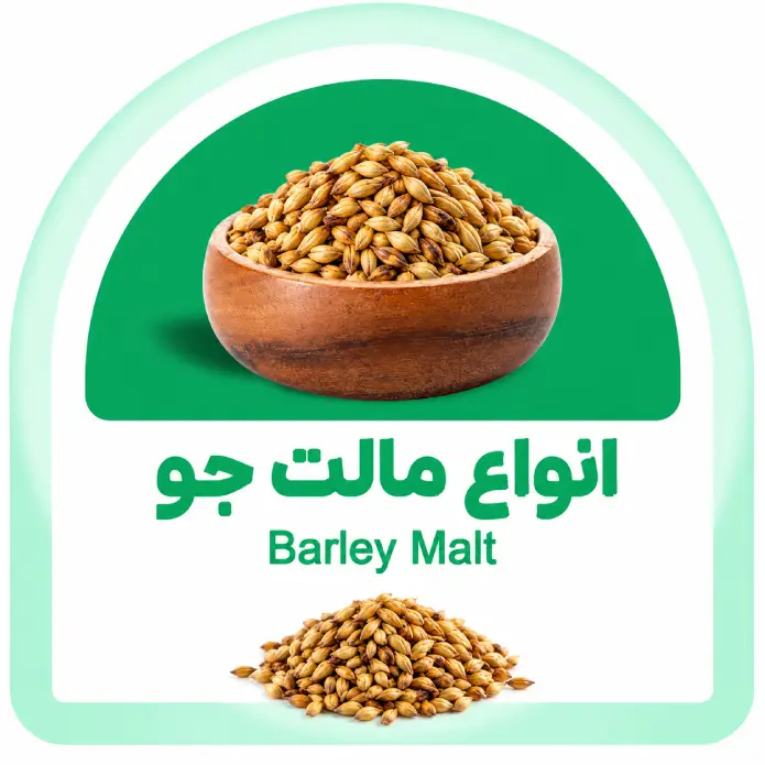 مالت جو