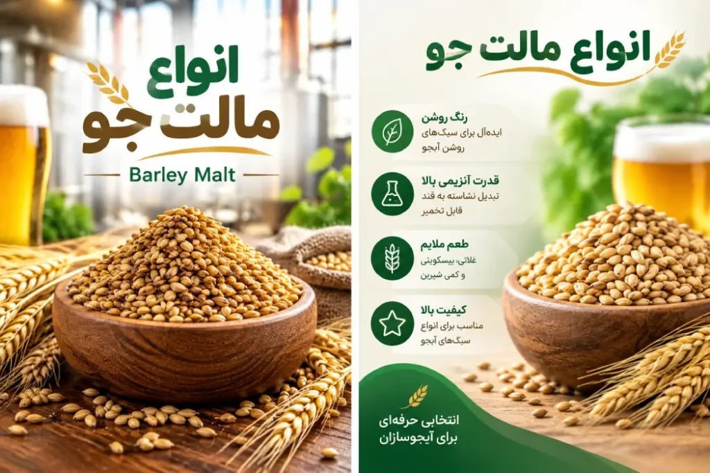 انواع مالت جو